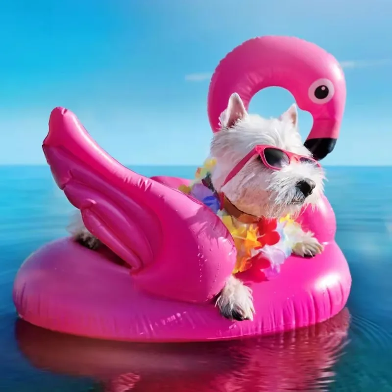 ألعاب حمام سباحة قابلة للنفخ ع - مراجعة Baby Swimming Floater وسعره